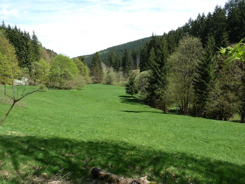 Ferienwohnung Bradsch Ilmenau Room photo